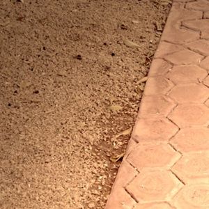 Meet your Posher, Brandi